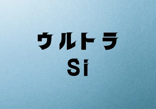 ウルトラSi　耐候年数15～17年